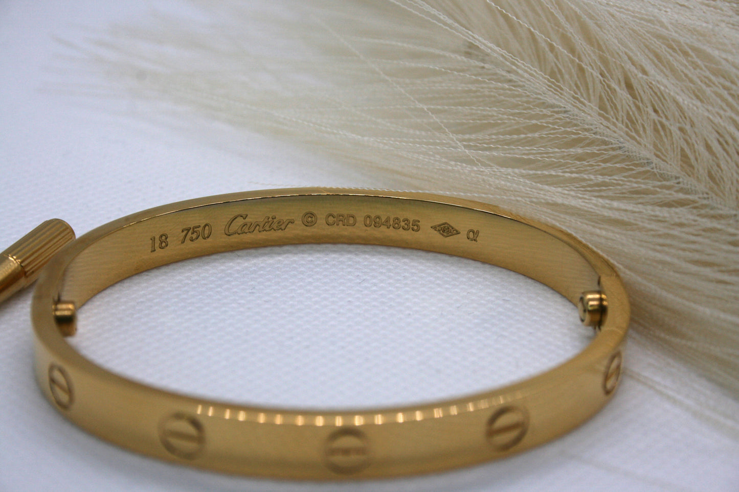 Carti brazalete